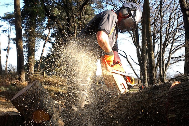 Man operating a chainsaw with protective gear cutting a felled tree