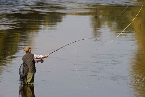 a salmon fisherman casting on river