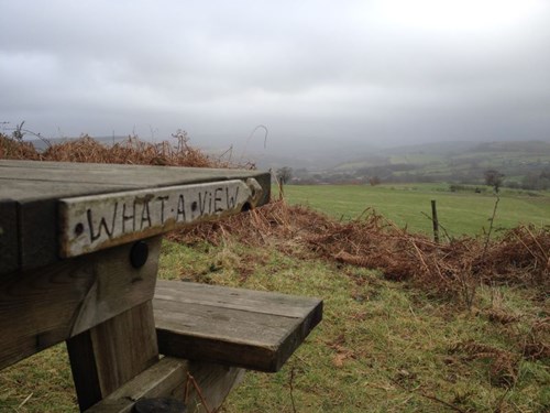 Carved bench in Llanwonnow reading 'What a view'