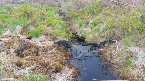 Peat dam