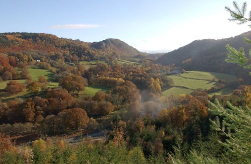 Gwydyr forest park, Coed y Mynydd