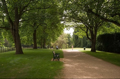 Cardiff city landscape with urban trees. Bute park