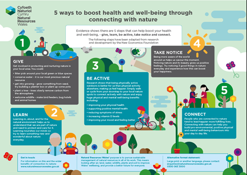 health wellbeing poster