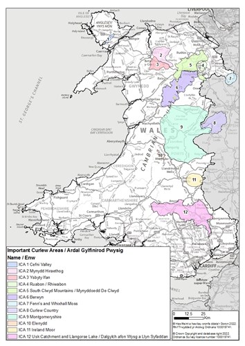 Map o Ardaloedd Pywsig Gylfinir ledled Cymru.