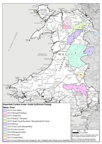 Map of Important Curlew Areas in Wales